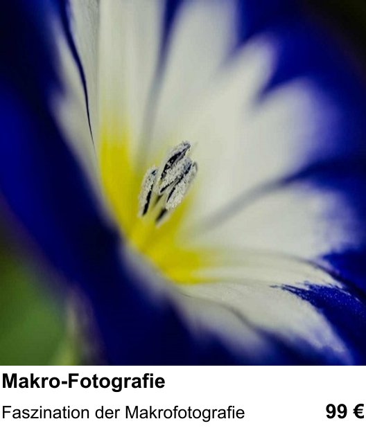 Fotokurs in München mit dem Thema Makro-Fotografie