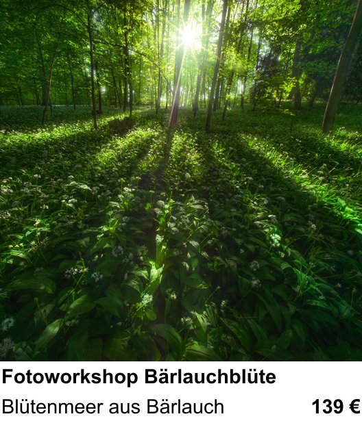 Kameratechnischer Foto-Workshop für Aufnahmen zu Fotoworkshop Bärlauchblüte: Blütenmeer aus Bärlauch