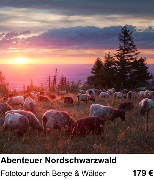 Kameratechnischer Foto-Workshop für Aufnahmen zu Abenteuer Nordschwarzwald: Fototour durch Berge & Wälder