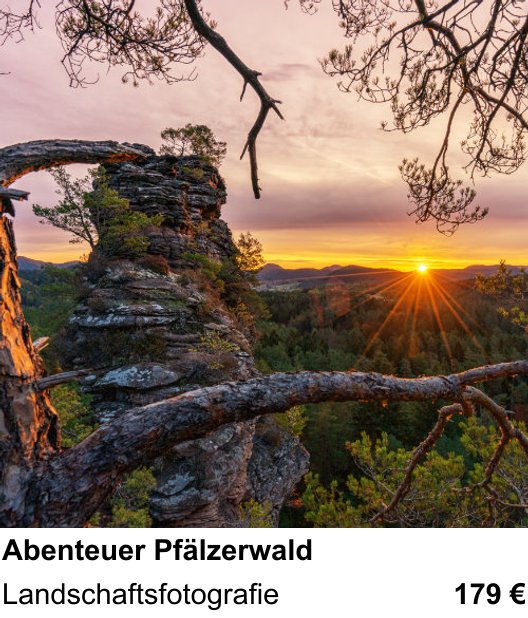 Kameratechnischer Foto-Workshop für Aufnahmen zu Abenteuer Pfälzerwald: Landschaftsfotografie
