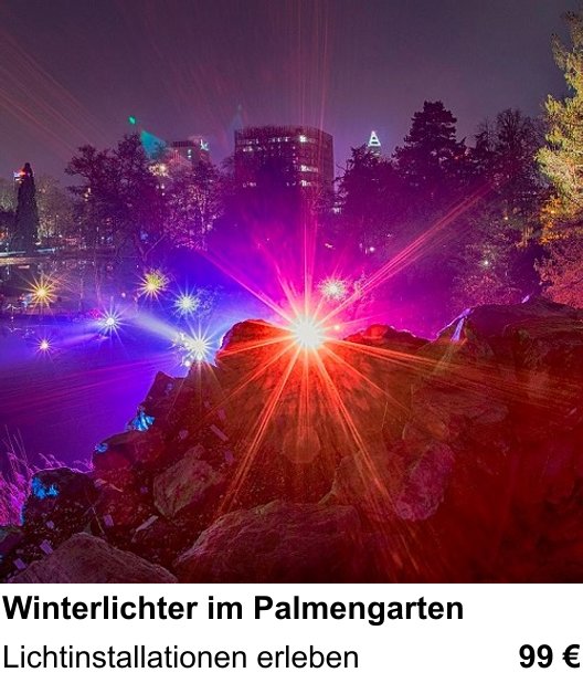 Kameratechnischer Foto-Workshop für Aufnahmen zu Winterlichter im Palmengarten: Lichtinstallationen erleben
