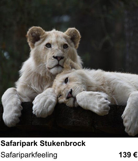 Kameratechnischer Foto-Workshop für Aufnahmen zu Safaripark Stukenbrock: Safariparkfeeling