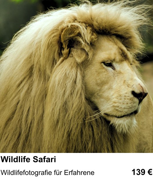 Fotokurs in München mit dem Thema Wildlife Safari